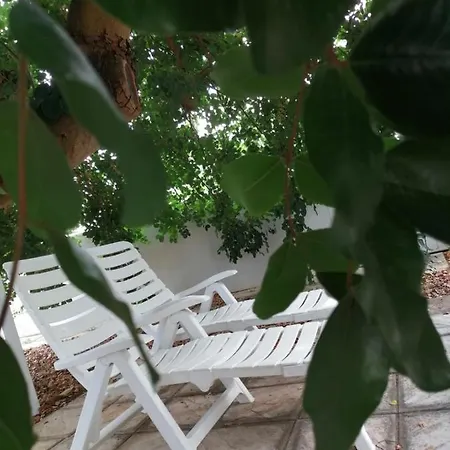Dei Cedri Bed & Breakfast Villa Castelli