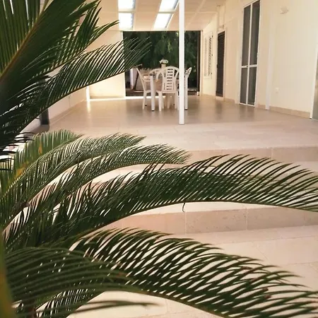 Dei Cedri Bed & Breakfast